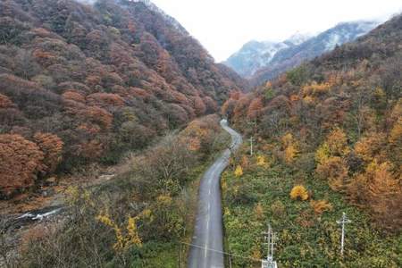 米仓山自然保护区和米仓山森林公园的区别